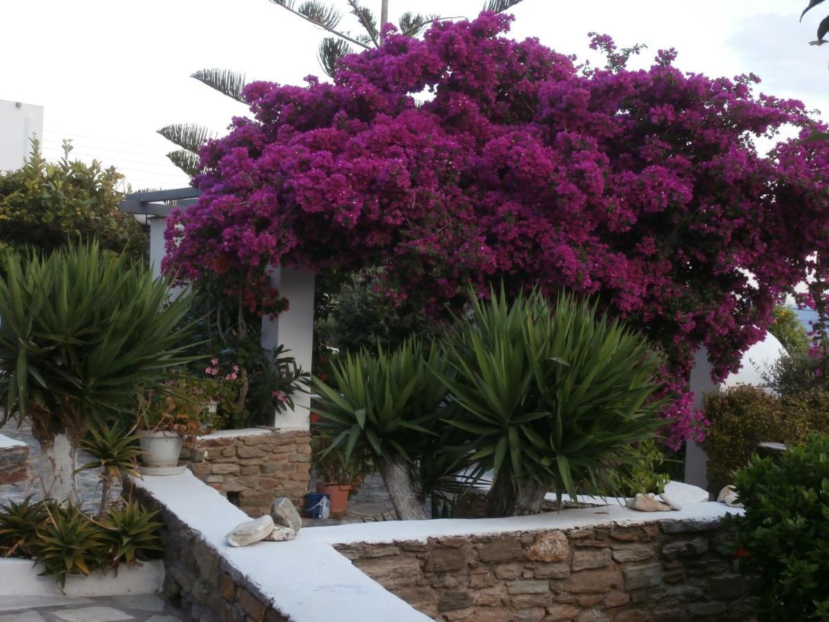 Galini Bungalows Kionia Exterior foto