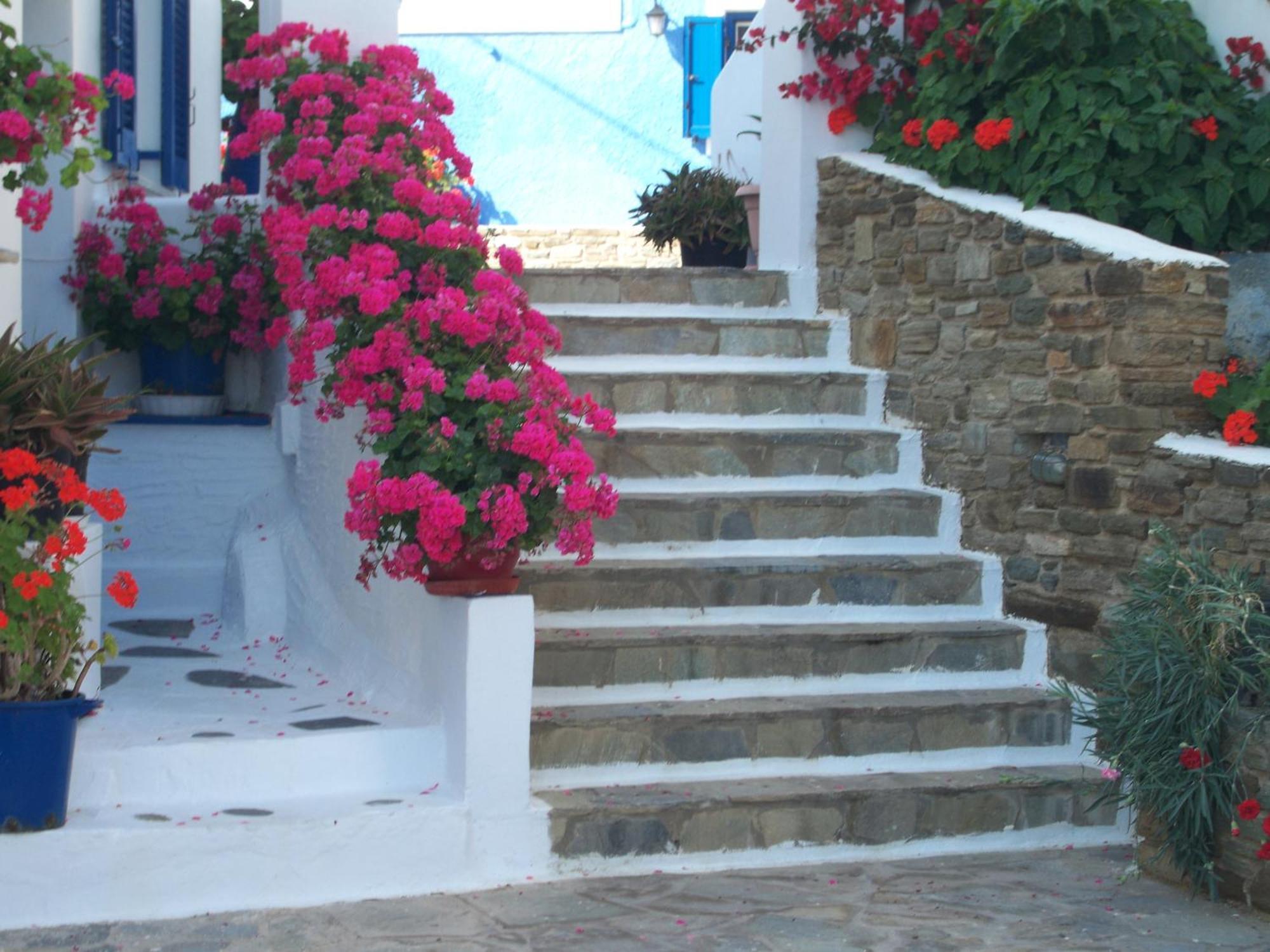 Galini Bungalows Kionia Quarto foto